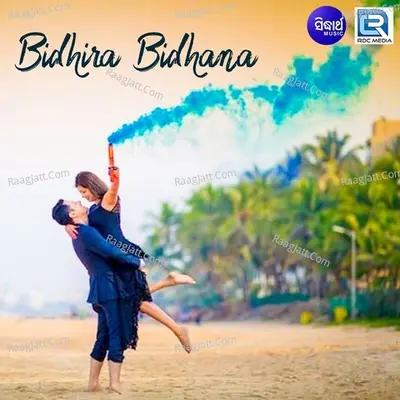 Bidhira Bidhana Poster