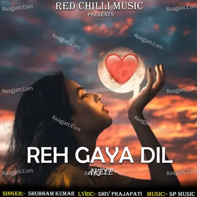 Reh Gaya Dil Akela