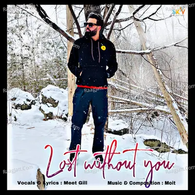 Lost Without You Cover