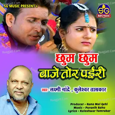 Chhum Chhum Baje Tor Pairi (Chhattisgarhi Song) Cover