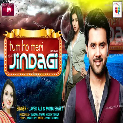 Tum Ho Meri Zindgi Cover