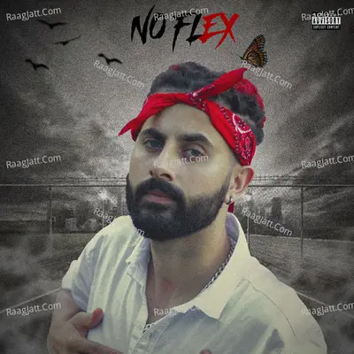 No Flex Cover
