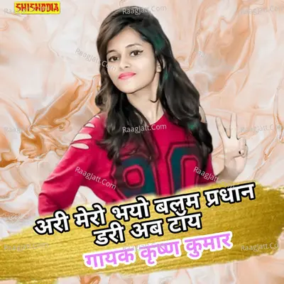 Ari mero bhayo balam pradhan dari ab toy