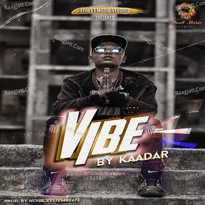 Vibe Cover