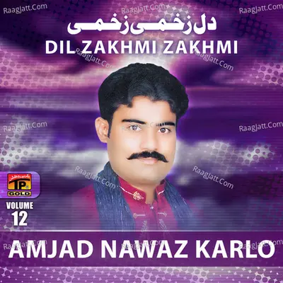 Dil Zakhmi Zakhmi, Vol. 12 Poster