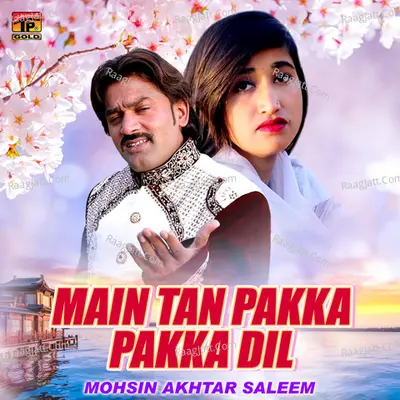 Main Tan Pakka Pakka Dil - Single Cover