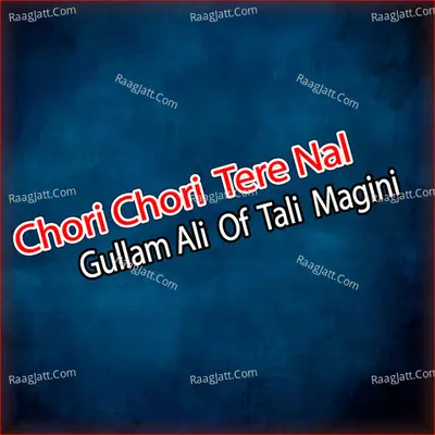Chori Chori Tere Nal Poster