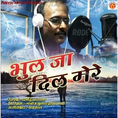 Bhul Ja Dil Mere Cover