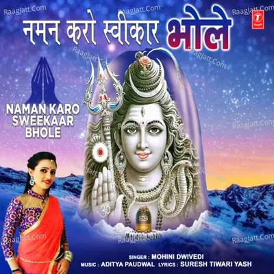 Naman Karo Sweekaar Bhole