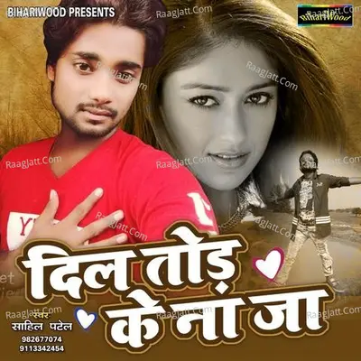 Dil Tod Ke Naja