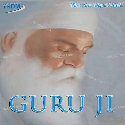 Guru Ji - Anil Hanslas