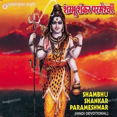 Shambhu Shankar Parameshwar - N  Malikarjun