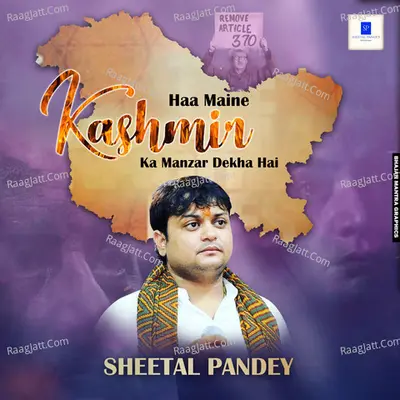Kashmir Ka Manzar Dekha hai Cover