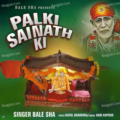 Palki Sainath Ki
