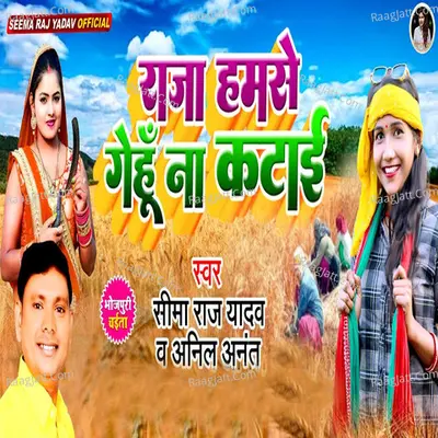 Raja Hamse Gehu Na Katayi