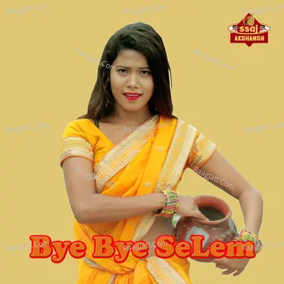 Bye Bye Selem Cover