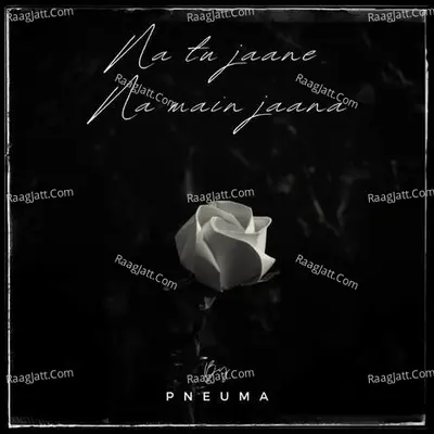 Pneuma Image