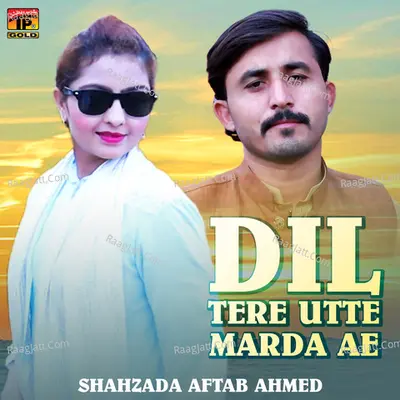 Shahzada Aftab Ahmed