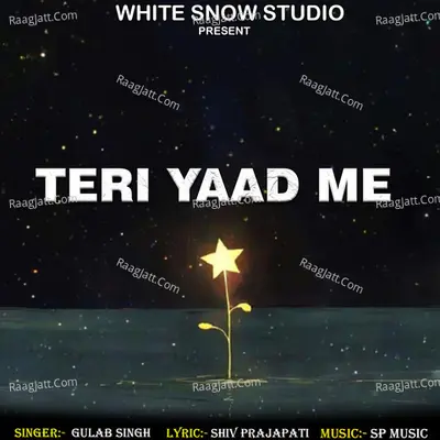 Teri Yaad Me