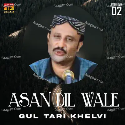 Asan Dil Wale, Vol. 2 - Gul Tari Khelvi
