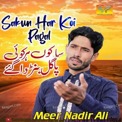 Meer Nadir Ali