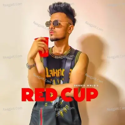 Red Cup Cover