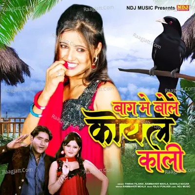 Baagh Me Bole Koyal Kali Cover