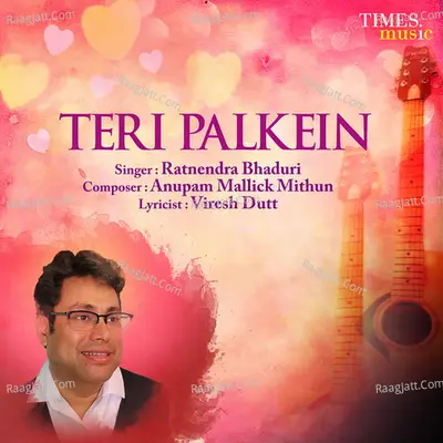 Teri Palkein