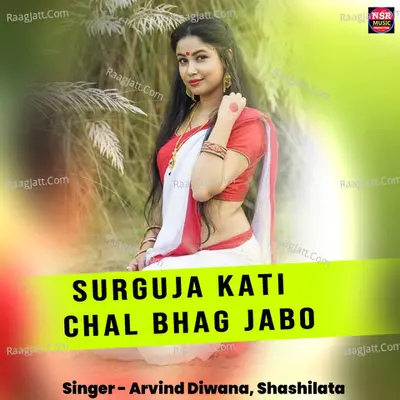 Surguja Kati Chal Bhag Jabo Cover