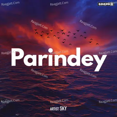 Parindey Cover