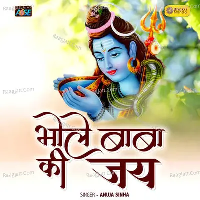 Bhole Baba Ki Jai Cover