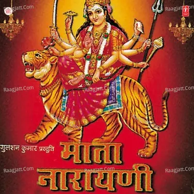 Mata Narayani -Dhuni - Babu Rajoriya
