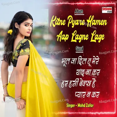 Bhoolja dil tu mere yaad na kar Cover