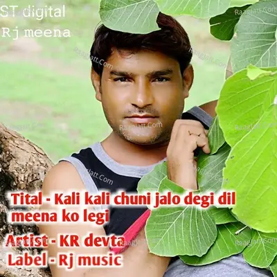 Kali kali chuni jalo degi dil meena ko legi Cover