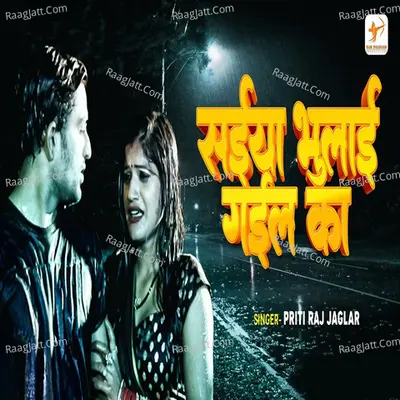 Saiya Bhulai Gaila Ka Cover