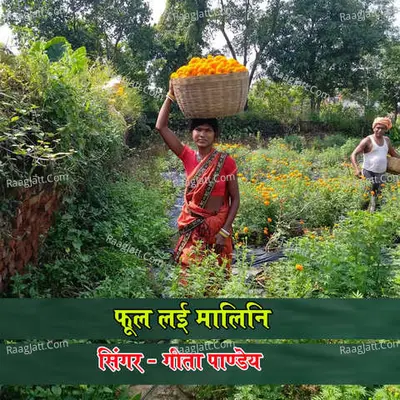 Fool Lai Malini Cover