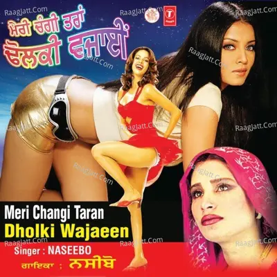 Meri Changi Taran Dholki Wajaeen Poster