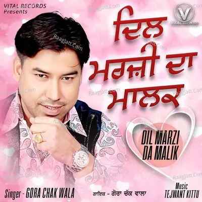 Dil Marzi Da Malik Poster