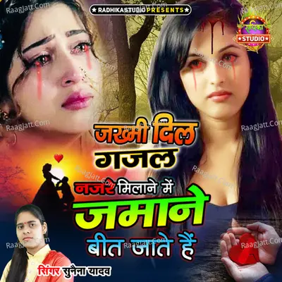 Nazare Milane Main Zamane Beet Jate Hai