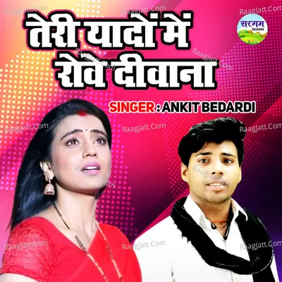 Teri Yadon Main Rove Diwana Cover