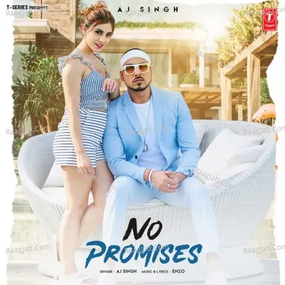 No Promises Cover