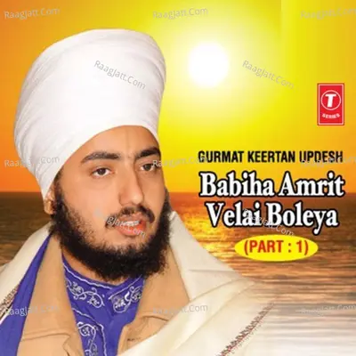Babiha Amrit Velai Boleya Poster