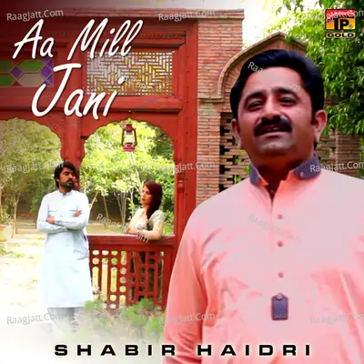 Aa Mill Jani Poster