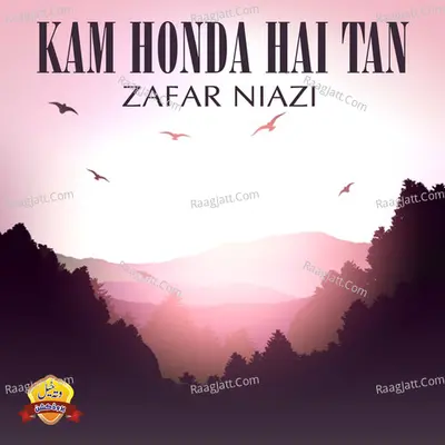 Kam Honda Hai Tan Poster