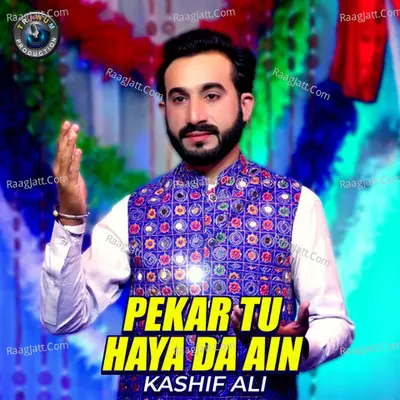 Kashif Ali Image