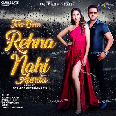 Tere Bin Cover