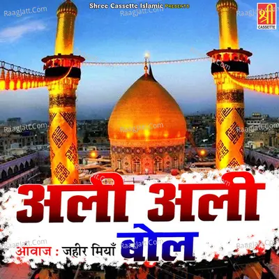 Ali Ali Bol Poster
