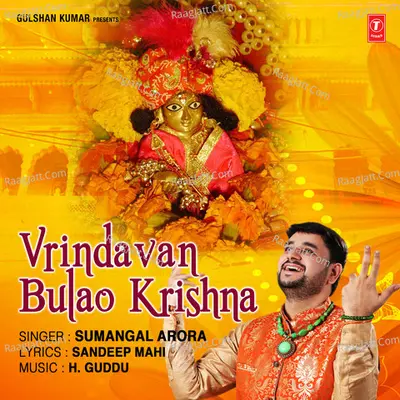 Vrindavan Bulao Krishna Cover