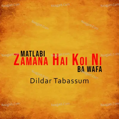 Matlabi Zamana Hai Koi Ni Ba Wafa Cover