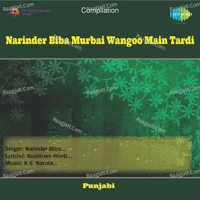 Narinder Biba Murbai Wangoo Main Tardi Cover